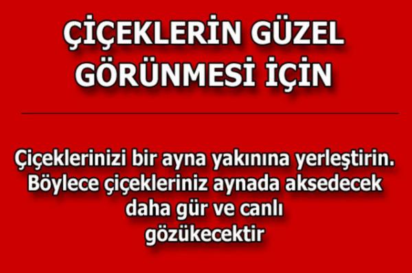 te kolayca uygulayabileceiniz mutfaktan temizlie, alveriten cilt bakmna kadar hayatnzn her alannda size yardmc olacak bilgiler...