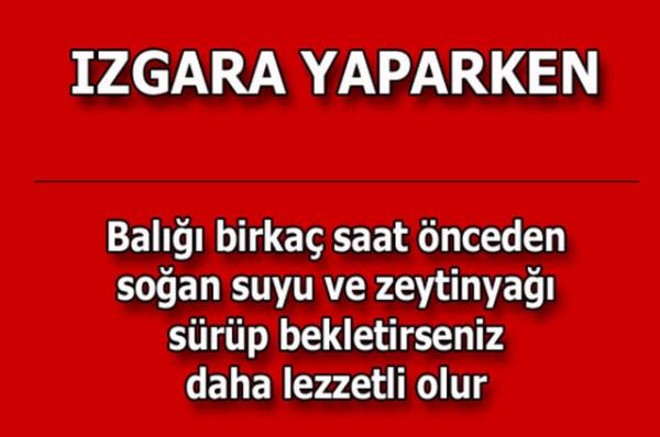 te kolayca uygulayabileceiniz mutfaktan temizlie, alveriten cilt bakmna kadar hayatnzn her alannda size yardmc olacak bilgiler...