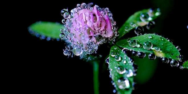 KNC VE NC CEMRE DME TARHLER    Cemrenin ikincisi 27 ubat'ta suya, nc ve son cemre de 6 Mart 2023 gn topraa decek.    nc cemrenin ardndan baharn geldii kabul ediliyor.