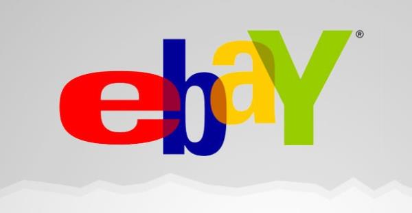 'Echo Bay Technology Group' adl irket alan ad olarak echobay.com kullanmak istedi ancak bu alan ad baka irketler tarafndan alnmt. irket, ikinci seenek olarak ismini ksaltt ve ortaya 'ebay' kt.