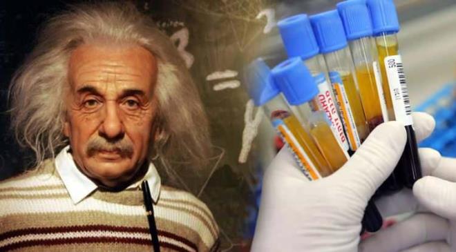 Japon bilim insanlar doutan zeki olan kiiler zerinde yapt aratrmalarda kan grubunun ok etkili olduu kansna varlan bir aklama yapt. Japonya'da son derece popler olan "Ketsueki-gata" teorisi, kan gruplarnn kiilik zelliklerini belirledii iddiasyla dikkat ekiyor. te kan grubuna gre kiilik zellikleri...