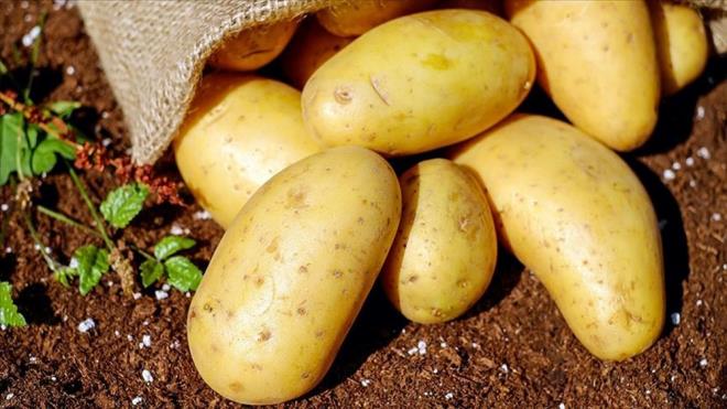 PATATES TKETN    nsanlarn yksek karbonhidrat ierii nedeniyle patateslerden korkmas beni her zaman artyor.    Evet patates bir karbonhidrat olarak baz diyetlerde "eytan" olarak snflandrlyor .    Ancak patatesler tam anlamyla topraktan geliyor. lenmemi gda tanmna en iyi uyan besinlerden biri.    Patateslerin kalorisi dktr, doyurucudur ve lif oran yksektir.    Dikkat etmeniz gereken tek nokta patatesinizin zerine koyduunuz herhangi bir eyin (bir avu dolusu peynir ve tereya dilimleri) kilo almanza katk salayabileceini unutmamanz olacaktr.