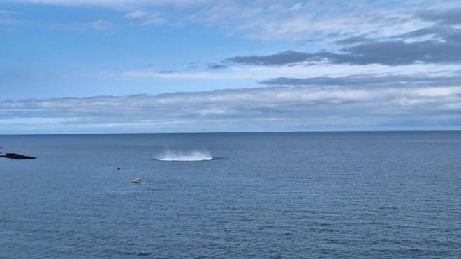 Patlatma esnasnda jandarma ekiplerinde sahil eridinde de nlemler alnrken, tarama ve imha almalar nedeniyle deniz trafiine bir sre ara verildi.