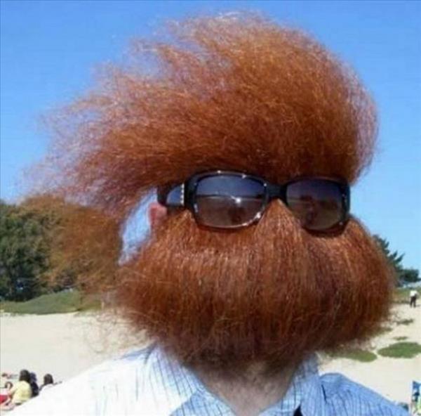 2013'n en ok forward'lanan fotoraflar