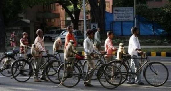 2013'n en ok forward'lanan fotoraflar