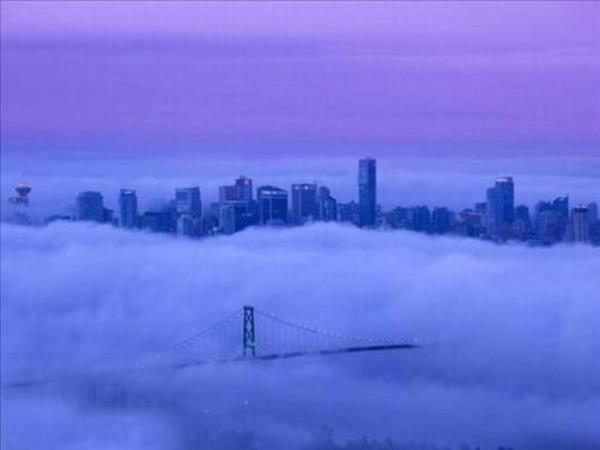 2013'n en ok forward'lanan fotoraflar