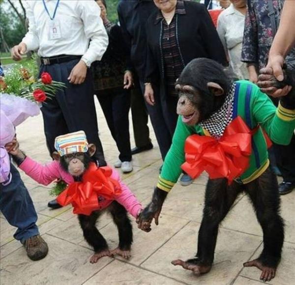 2013'n en ok forward'lanan fotoraflar