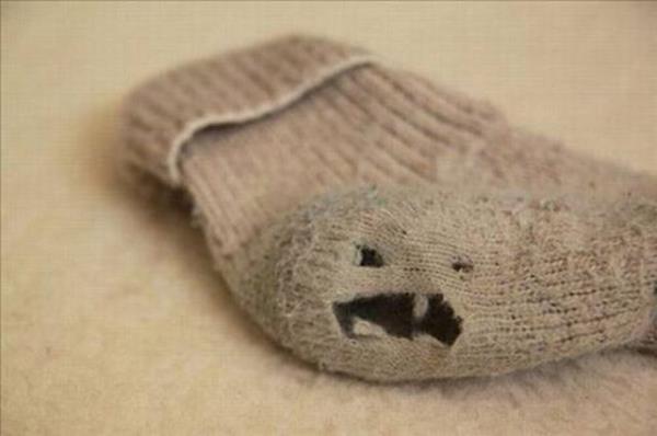 2013'n en ok forward'lanan fotoraflar