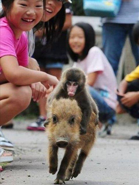 2013'n en ok forward'lanan fotoraflar