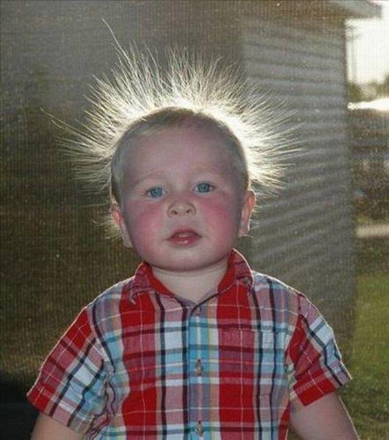 2013'n en ok forward'lanan fotoraflar