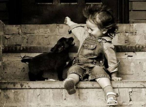 2013'n en ok forward'lanan fotoraflar