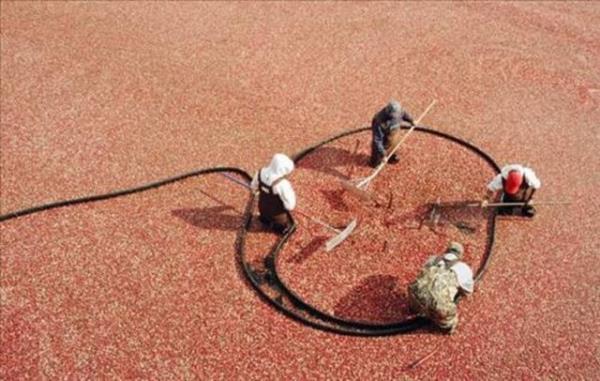 2013'n en ok forward'lanan fotoraflar