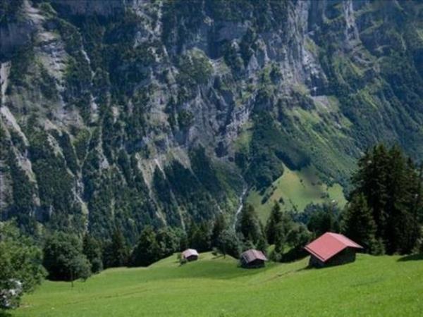 2013'n en ok forward'lanan fotoraflar