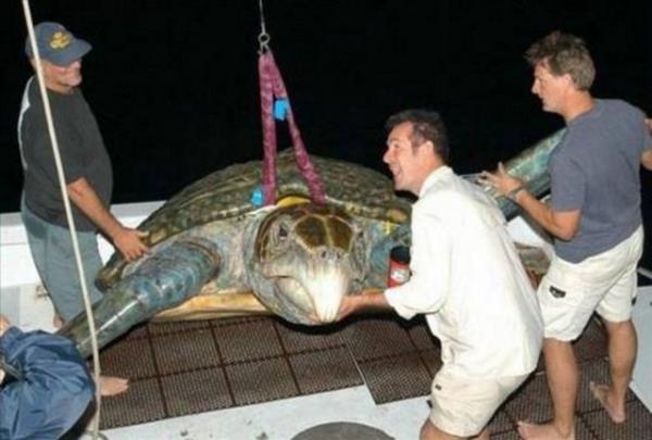 2013'n en ok forward'lanan fotoraflar