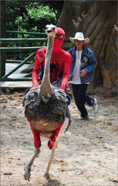 2013'n en ok forward'lanan fotoraflar