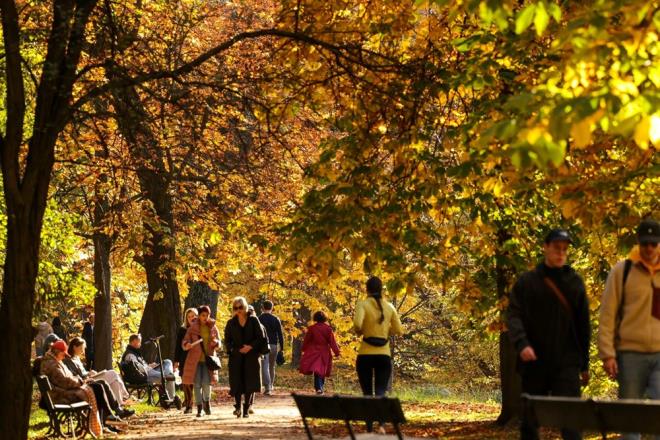 Aratrmaclar gnde 9 bin-10 bin 500 aras adm atmann erken lm riskini yzde 39, kalp krizi veya fel riskini ise bete bir orannda azaltt sonucuna vard.    Fel ve kalp krizi riskinin en dk tespit edildii kiiler ise gnde yaklak 9 bin 700 adm atan grupta yer ald.