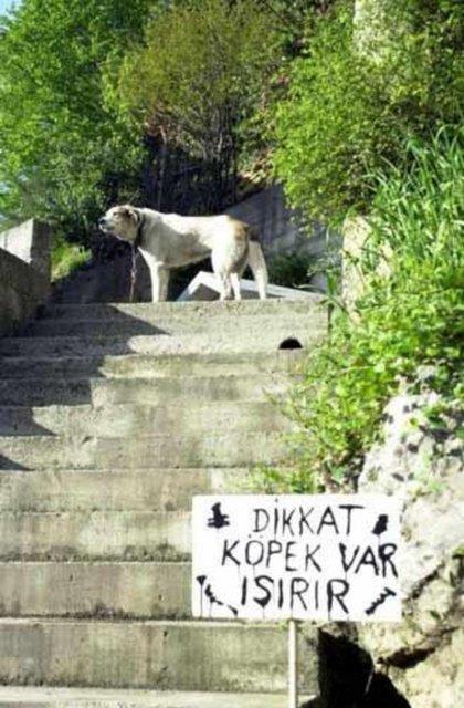 Yurdum insanndan ilgin manzaralar