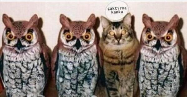 Yurdum insanndan ilgin manzaralar