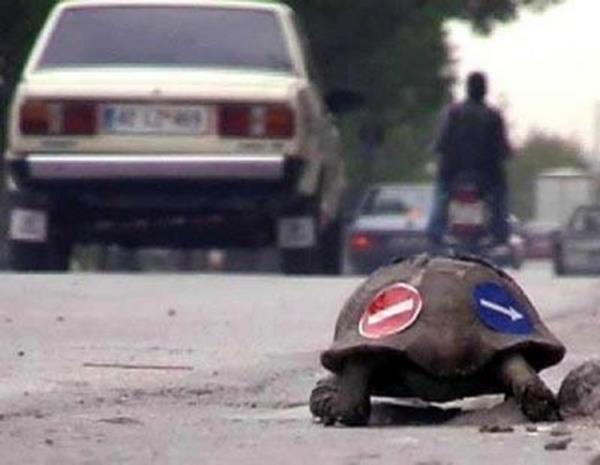 Yurdum insanndan ilgin manzaralar