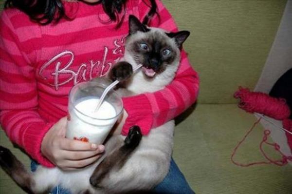 Yurdum insanndan ilgin manzaralar