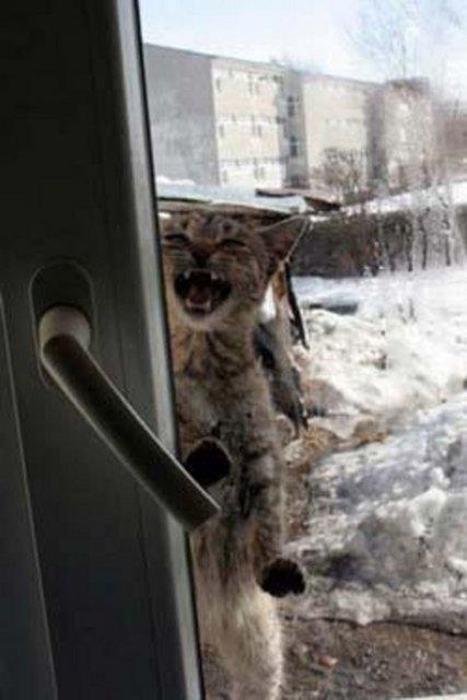 Yurdum insanndan ilgin manzaralar