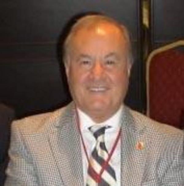 Son Posta'da gazetecilie balayan Ayhan, daha sonra Tercman ve Gne gazetelerinde spor servisinde alt.