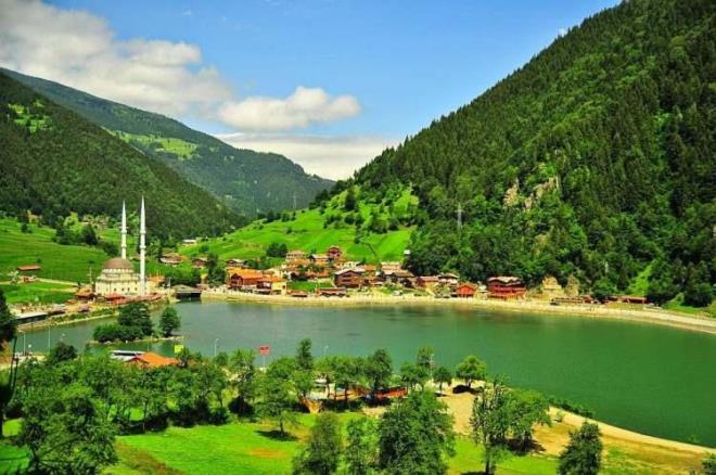 8. RZE    Karadeniz'in incisi Rize'de erkekler iin ortalama yaam sresi 75.3 yl, kadnlar iin 83.7 yl olarak belirlenmitir. Genel ortalama ise 79.6 yl eklindedir.