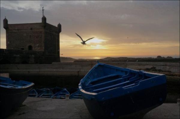 En iyi National Geographic 2013 fotoraflar