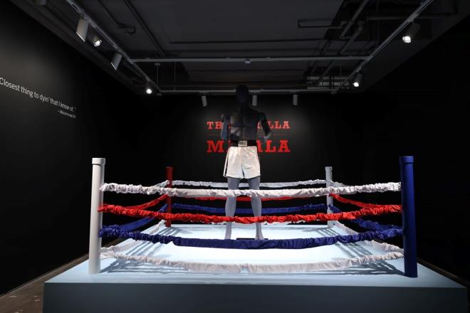 1975 ylnda Filipinler'de gerekleen "Thrilla in Manila" 14 tur srd ve Frazier'in  havlu atmasnn ardndan ma iptal edildi.