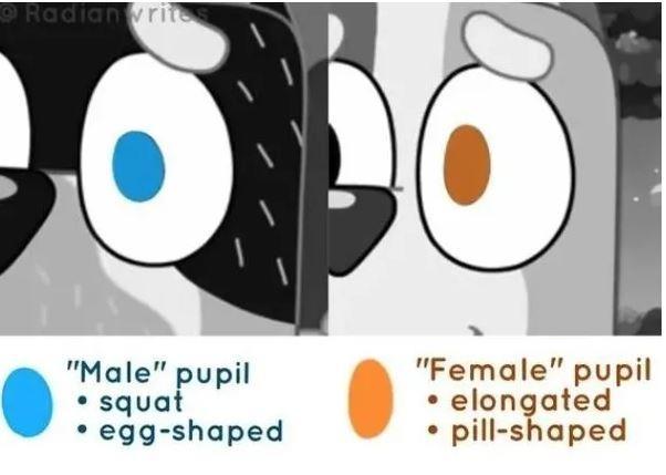 Dizideki kadn ve erkeklerin gzbebeklerinin birbirinden farkl tasarlandn fark eden sosyal medya kullancs, bu kuraln yetikin karakterler iin geerli olduunu ne srd.