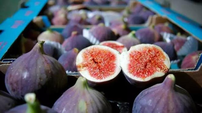 eker oran yksek olan siyah incir ayn zamanda lif ve enerji mineralleri bakmndan da olduka zengindir. Siyah incir yeil incir gibi kurutulmaz. nk gnete kalan mineral ve vitaminler erken ldnden siyah incirin lezzeti kaybolur. Ayrca siyah incir kabuu ile beraber tketilmesi gereken bir besindir. Yaplan aratrmalarda stte bulunan kalsiyum vitamini, siyah incirin kabuu ve ekirdeklerinde 3 kat daha fazla bulunduu gzlemlenmitir.