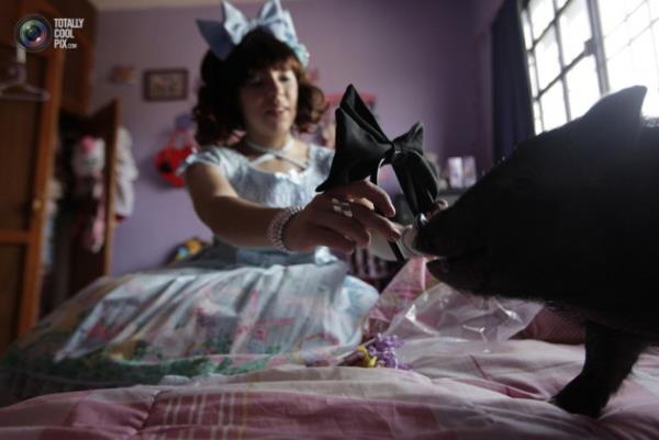 Hayvanlar hi byle grdnz m?