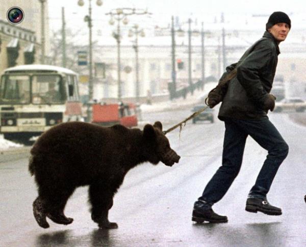 Hayvanlar hi byle grdnz m?