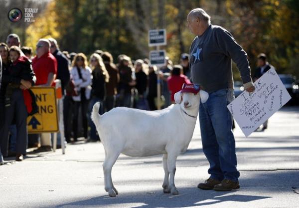Hayvanlar hi byle grdnz m?