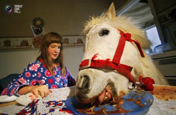 Hayvanlar hi byle grdnz m?