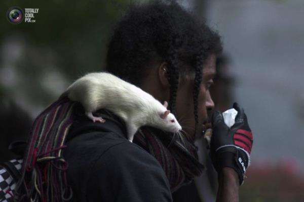 Hayvanlar hi byle grdnz m?