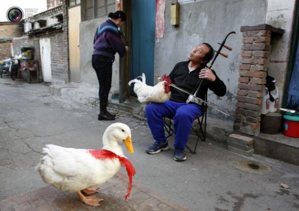 Hayvanlar hi byle grdnz m?