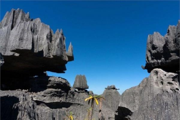 Madagaskar Bernaraha Ulusal Park