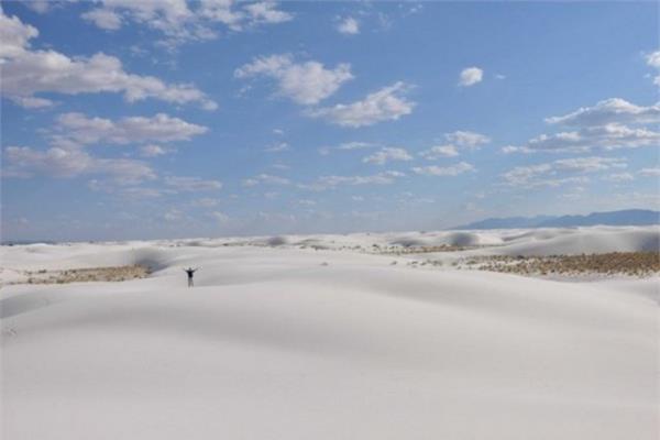 Meksika Ulusal Beyaz Kum Ant