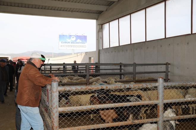 ubuk Belediyesi Canl Hayvan Pazar'ndan sorumlu Veteriner Hekim Bekir Kln, yaklaan Kurban Bayram dolaysyla hayvan pazarnda gerekli nlemlerin alndn belirtti.