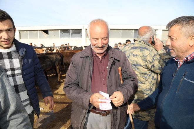 Kln, kurbanlk vasflarn tayan salkl hayvanlarn seilmesi gerektiini dile getirdi.