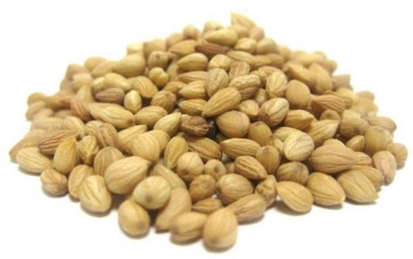 MAHLEP: Kurabiyelere, kandil simitlerine katlan mahlep, kemik geliimi yetersiz olan ocuklarn stlerine de ekleniyor.