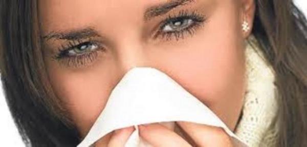 Souk algnl ve grip iin tedavi edicidir. - Gl ve doal ar kesici zellie sahiptir.