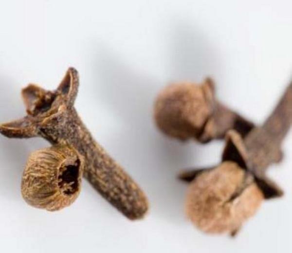 Gaz sktrc zellii vardr.- Mide bulantsn bastrr.