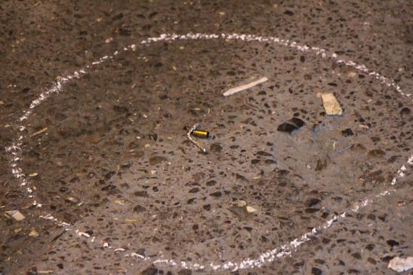 Babakan Recep Tayyip Erdoan'n Sabiha Gken'den Kskl'daki evine gidecei gei gzergah zerinde bulunan Mustafa Kemal Kprs'nde gvenlik nlemi alan polislere ate edildii iddia edildi.