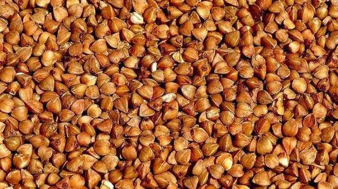 3- Kan ekerini dengeliyor  <p>  Karabudayn tamam, dayankl bir niasta kaynadr. Niasta sindirilmeden ince barsaktan geer.