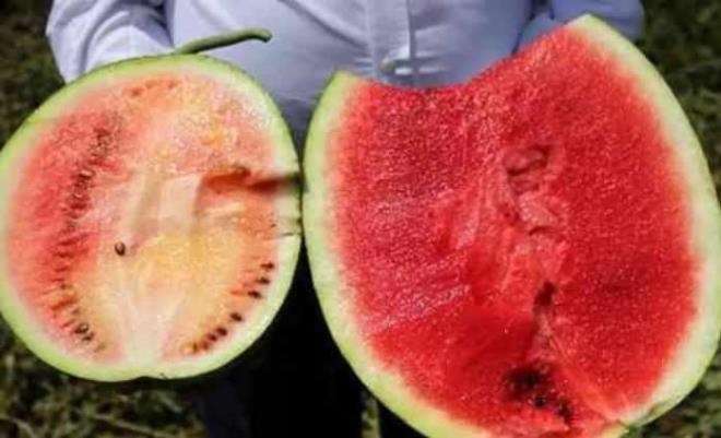 Bu durumda tketici rnn fotorafn ekip, satcya bildirmeli. Manavda, pazarda satc kabul etmezse, zabta ile tutanak hazrlayp, kurumlara ikayet edilebilir. Tketici hakem heyetine bavurup, icra mahkemesine dileke verilebilir.