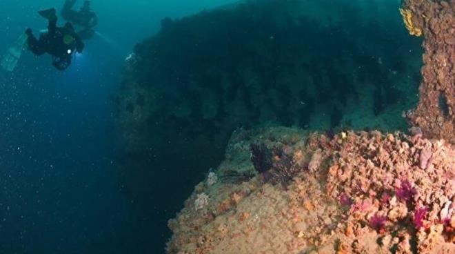 Tarihi yarmadann derinliklerinde bulunan sava gemileri, Gelibolu Tarihi Sualt Park olarak 3 yl nce dal turizmine ald. Derinliklerinde pek ok hikaye saklayan anakkale'nin sava batklar, 1. Dnya Sava temal ilk su alt park zelliini tayor. 109 yl nce Seddlbahir Kalesi aklarnda batrlan ngiliz Kraliyet Donanmas'na ait 'HMS Majestic'in de aralarnda bulunduu 14 batk geminin gizemini dal merakllar kefedecek. 21 farkl dal noktas ve 150 kilometrelik alanda dala imkan veren Gelibolu Tarihi Sualt Park dal noktalar; 'HMS Majestic', 'Erturul Koyu Massena ve Saghalien gemi kalntlar', 'Helles Barlar', 'Tekke Koyu (W Beach) batklar', 'Arburnu Bar', 'Kkkemikli Barlar', 'Arburnu Layter', 'Lundy', 'HMS Lous', 'S.S. Milo', 'Tuzla', 'Denizalt Mania A', 'Bebek Kayalklar' ve HMS Trumph'tan oluuyor.