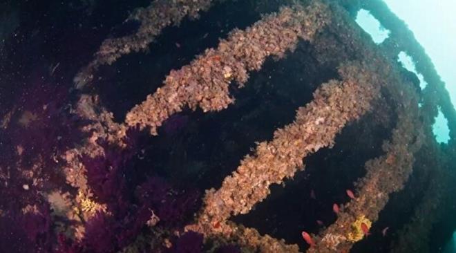 Su alt fotorafs ve teknik dalc Ashley Peterson ise, "Teknik dalcym ve maara dalcsym. Florida'dan geliyorum. Uzun sredir maara ve batklara dal yapyorum. Gelibolu Tarihi Sualt Parkndayz. Buras ok zel bir yer. Osmanl Devleti zamanna, 1'inci Dnya Savana dayanan batklar var. Buras gerekten duygu ieren bir yer. Sadece dnya sava batklar yok ayn zamanda daldmz baka ticari batklar da var. zerinde mercanlarn gelitii ve byd, gerekten burada olmak ok keyifli" diye konutu.