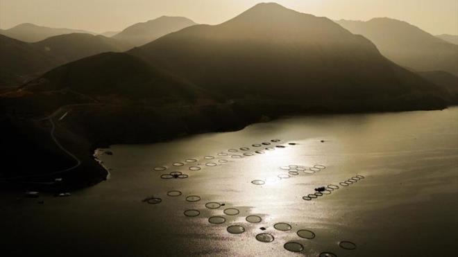 Adyaman'n elikhan ilesinde bulunan 1450 rakml at Baraj'nda yln 12 aynda 'kafes balkl' yaplabiliyor.